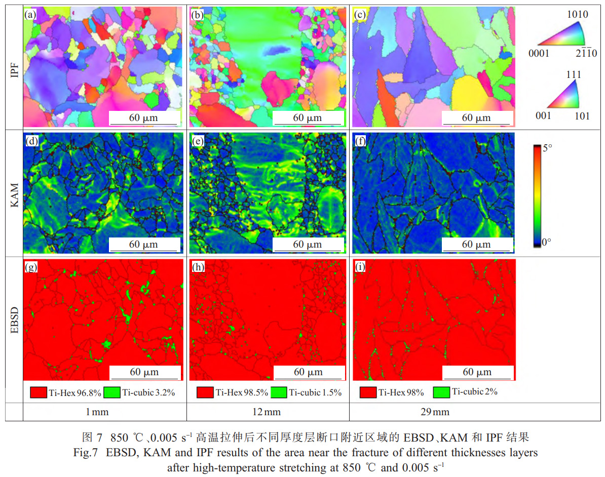面向船舶大型殼體件的TC4鈦合金厚板精密熱壓成形技術研究——解析厚向組織不均勻性對成形性能的影響，通過應力松弛-回彈耦合模擬優化保壓參數，實現±2mm形狀公差的高精度成形